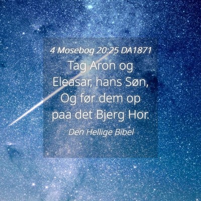 Picture 04 - 4 Mosebog 20:25 DA1871 - Tag Aron og Eleasar, hans Søn, Og før dem op - Bible Verse Picture