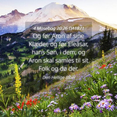 Picture 04 - 4 Mosebog 20:26 DA1871 - Og før Aron af sine Klæder, og før Eleasar, - Bible Verse Picture