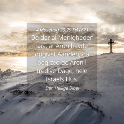Picture 04 - 4 Mosebog 20:29 DA1871 - Og der al Menigheden saa, at Aron havde opgivet - Bible Verse Picture