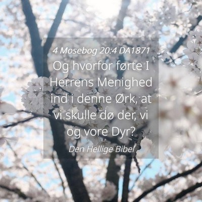 Picture 04 - 4 Mosebog 20:4 DA1871 - Og hvorfor førte I Herrens Menighed ind i denne - Bible Verse Picture
