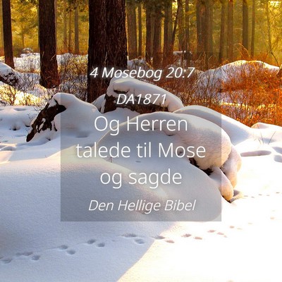 Picture 04 - 4 Mosebog 20:7 DA1871 - Og Herren talede til Mose og - Bible Verse Picture