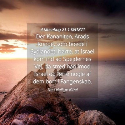 Picture 04 - 4 Mosebog 21:1 DA1871 - Der Kananiten, Arads Konge, som boede i - Bible Verse Picture