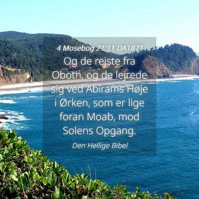 Picture 04 - 4 Mosebog 21:11 DA1871 - Og de rejste fra Oboth, og de lejrede sig ved - Bible Verse Picture