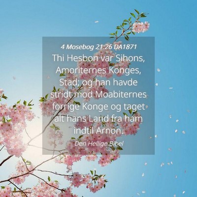 Picture 04 - 4 Mosebog 21:26 DA1871 - Thi Hesbon var Sihons, Amoriternes Konges, Stad; - Bible Verse Picture