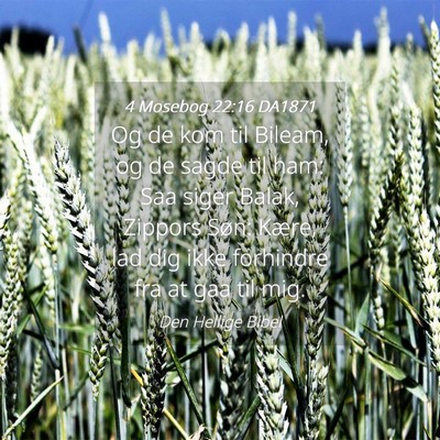 Picture 04 - 4 Mosebog 22:16 DA1871 - Og de kom til Bileam, og de sagde til ham: Saa - Bible Verse Picture