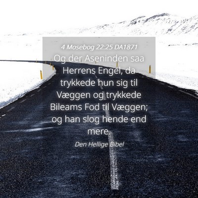 Picture 04 - 4 Mosebog 22:25 DA1871 - Og der Aseninden saa Herrens Engel, da trykkede - Bible Verse Picture