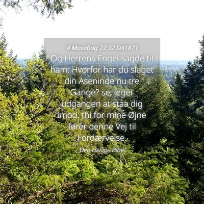 Picture 04 - 4 Mosebog 22:32 DA1871 - Og Herrens Engel sagde til ham: Hvorfor har du - Bible Verse Picture