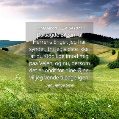 Picture 04 - 4 Mosebog 22:34 DA1871 - Da sagde Bileam til Herrens Engel: Jeg har - Bible Verse Picture