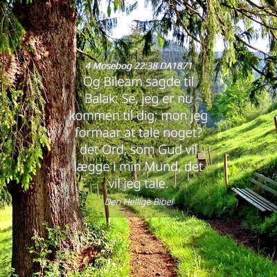 Picture 04 - 4 Mosebog 22:38 DA1871 - Og Bileam sagde til Balak: Se, jeg er nu kommen - Bible Verse Picture