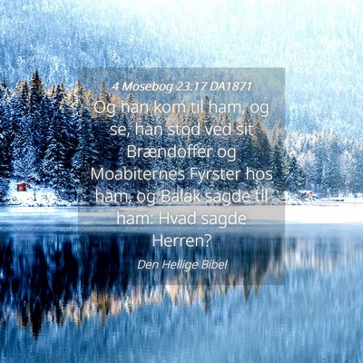 Picture 04 - 4 Mosebog 23:17 DA1871 - Og han kom til ham, og se, han stod ved sit - Bible Verse Picture