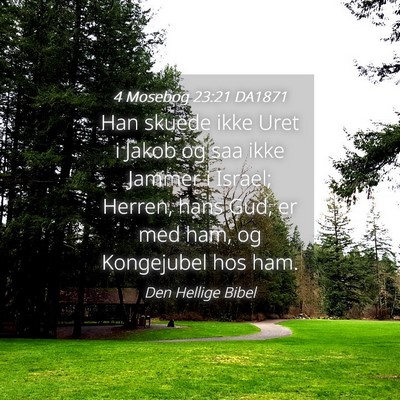 Picture 04 - 4 Mosebog 23:21 DA1871 - Han skuede ikke Uret i Jakob og saa ikke Jammer i - Bible Verse Picture