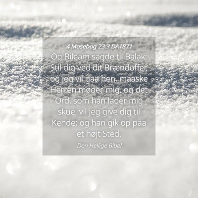 Picture 04 - 4 Mosebog 23:3 DA1871 - Og Bileam sagde til Balak: Stil dig ved dit - Bible Verse Picture