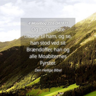 Picture 04 - 4 Mosebog 23:6 DA1871 - Og han vendte tilbage til ham, og se, han stod - Bible Verse Picture