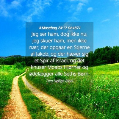 Picture 04 - 4 Mosebog 24:17 DA1871 - Jeg ser ham, dog ikke nu, jeg skuer ham, men ikke - Bible Verse Picture