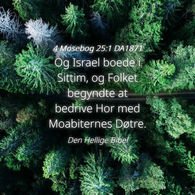 Picture 04 - 4 Mosebog 25:1 DA1871 - Og Israel boede i Sittim, og Folket begyndte at - Bible Verse Picture