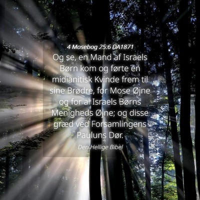 Picture 04 - 4 Mosebog 25:6 DA1871 - Og se, en Mand af Israels Børn kom og førte en - Bible Verse Picture