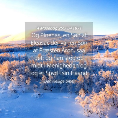 Picture 04 - 4 Mosebog 25:7 DA1871 - Og Pinehas, en Søn af Eleasar, der var en Søn - Bible Verse Picture