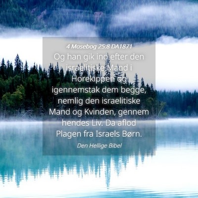 Picture 04 - 4 Mosebog 25:8 DA1871 - Og han gik ind efter den israelitiske Mand i - Bible Verse Picture
