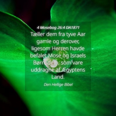 Picture 04 - 4 Mosebog 26:4 DA1871 - Tæller dem fra tyve Aar gamle og derover, - Bible Verse Picture