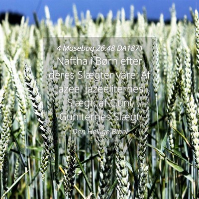 Picture 04 - 4 Mosebog 26:48 DA1871 - Nafthali Børn efter deres Slægter vare: Af - Bible Verse Picture