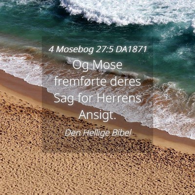 Picture 04 - 4 Mosebog 27:5 DA1871 - Og Mose fremførte deres Sag for Herrens - Bible Verse Picture
