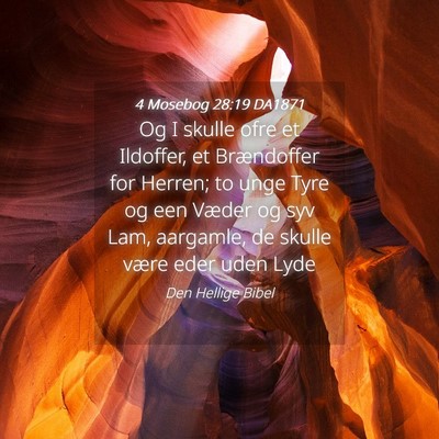 Picture 04 - 4 Mosebog 28:19 DA1871 - Og I skulle ofre et Ildoffer, et Brændoffer for - Bible Verse Picture