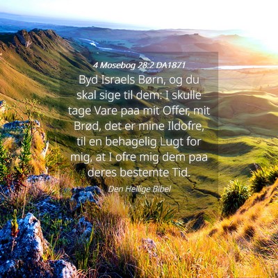 Picture 04 - 4 Mosebog 28:2 DA1871 - Byd Israels Børn, og du skal sige til dem: I - Bible Verse Picture