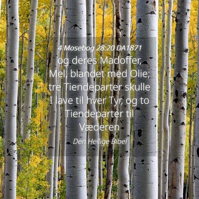 Picture 04 - 4 Mosebog 28:20 DA1871 - og deres Madoffer, Mel, blandet med Olie; tre - Bible Verse Picture