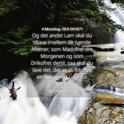 Picture 04 - 4 Mosebog 28:8 DA1871 - Og det andet Lam skal du tillave imellem de - Bible Verse Picture