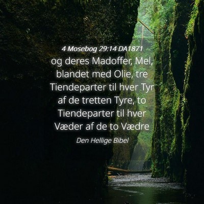 Picture 04 - 4 Mosebog 29:14 DA1871 - og deres Madoffer, Mel, blandet med Olie, tre - Bible Verse Picture