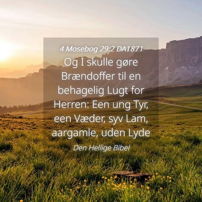 Picture 04 - 4 Mosebog 29:2 DA1871 - Og I skulle gøre Brændoffer til en behagelig - Bible Verse Picture