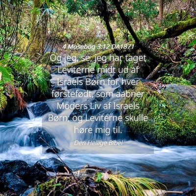 Picture 04 - 4 Mosebog 3:12 DA1871 - Og jeg, se, jeg har taget Leviterne midt ud af - Bible Verse Picture