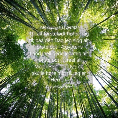 Picture 04 - 4 Mosebog 3:13 DA1871 - Thi alt førstefødt hører mig til, paa den Dag - Bible Verse Picture