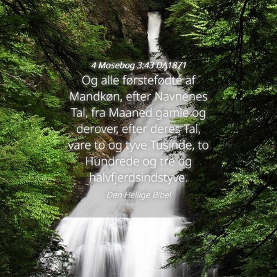 Picture 04 - 4 Mosebog 3:43 DA1871 - Og alle førstefødte af Mandkøn, efter Navnenes - Bible Verse Picture