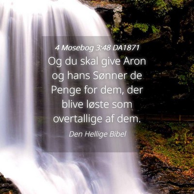 Picture 04 - 4 Mosebog 3:48 DA1871 - Og du skal give Aron og hans Sønner de Penge for - Bible Verse Picture