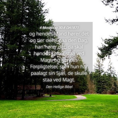 Picture 04 - 4 Mosebog 30:8 DA1871 - og hendes Mand hører det og tier dertil paa den - Bible Verse Picture