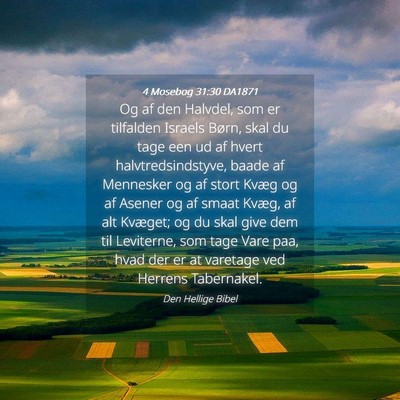 Picture 04 - 4 Mosebog 31:30 DA1871 - Og af den Halvdel, som er tilfalden Israels - Bible Verse Picture