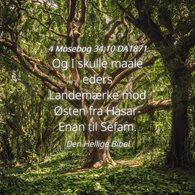 Picture 04 - 4 Mosebog 34:10 DA1871 - Og I skulle maale eders Landemærke mod Østen - Bible Verse Picture