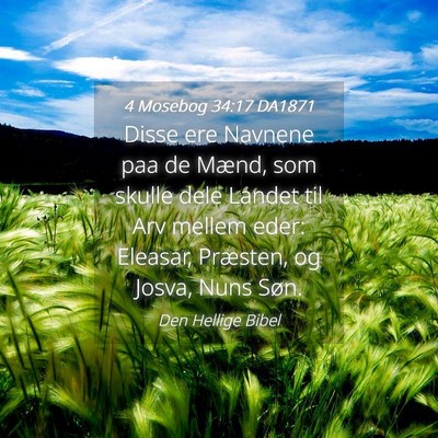 Picture 04 - 4 Mosebog 34:17 DA1871 - Disse ere Navnene paa de Mænd, som skulle dele - Bible Verse Picture