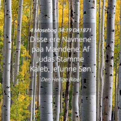 Picture 04 - 4 Mosebog 34:19 DA1871 - Disse ere Navnene paa Mændene: Af Judas Stamme - Bible Verse Picture