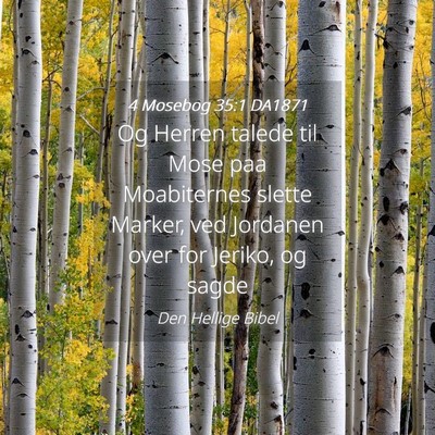 Picture 04 - 4 Mosebog 35:1 DA1871 - Og Herren talede til Mose paa Moabiternes slette - Bible Verse Picture
