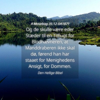 Picture 04 - 4 Mosebog 35:12 DA1871 - Og de skulle være eder Stæder til en Tilflugt - Bible Verse Picture