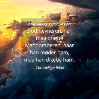 Picture 04 - 4 Mosebog 35:19 DA1871 - Blodhævneren, han maa dræbe Manddraberen; naar - Bible Verse Picture