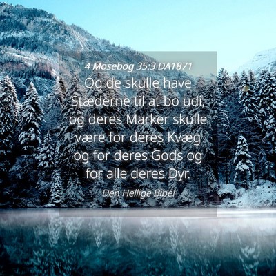Picture 04 - 4 Mosebog 35:3 DA1871 - Og de skulle have Stæderne til at bo udi, og - Bible Verse Picture