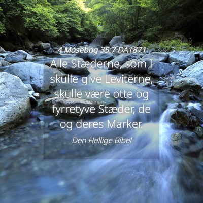 Picture 04 - 4 Mosebog 35:7 DA1871 - Alle Stæderne, som I skulle give Leviterne, - Bible Verse Picture