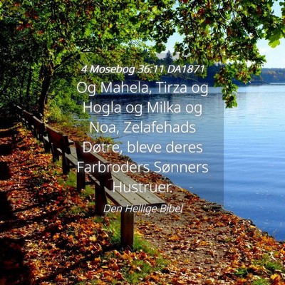 Picture 04 - 4 Mosebog 36:11 DA1871 - Og Mahela, Tirza og Hogla og Milka og Noa, - Bible Verse Picture