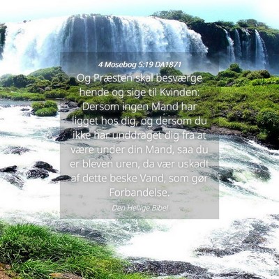 Picture 04 - 4 Mosebog 5:19 DA1871 - Og Præsten skal besværge hende og sige til - Bible Verse Picture