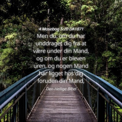Picture 04 - 4 Mosebog 5:20 DA1871 - Men du, om du har unddraget dig fra at være - Bible Verse Picture