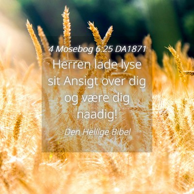 Picture 04 - 4 Mosebog 6:25 DA1871 - Herren lade lyse sit Ansigt over dig og være dig - Bible Verse Picture