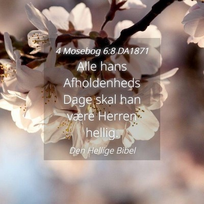 Picture 04 - 4 Mosebog 6:8 DA1871 - Alle hans Afholdenheds Dage skal han være Herren - Bible Verse Picture